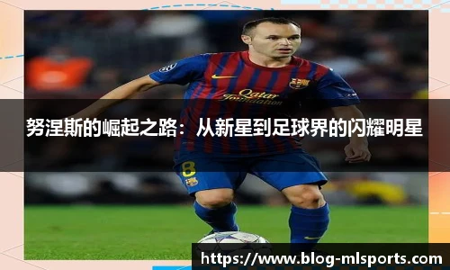 努涅斯的崛起之路：从新星到足球界的闪耀明星